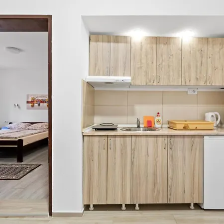 Alexandar Soko Banja