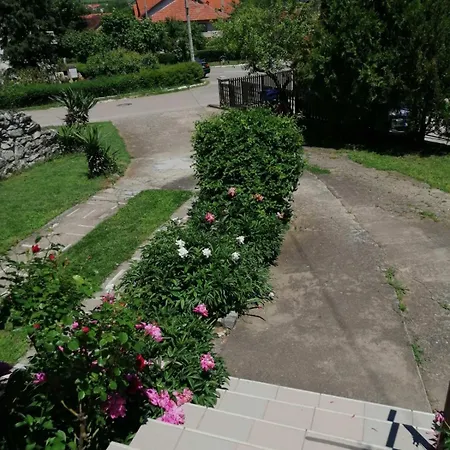 Alexandar * Soko Banja