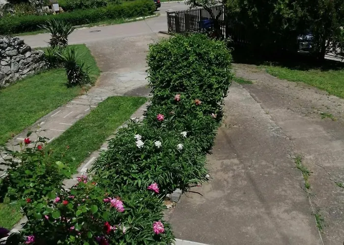 Alexandar * Sokobanja